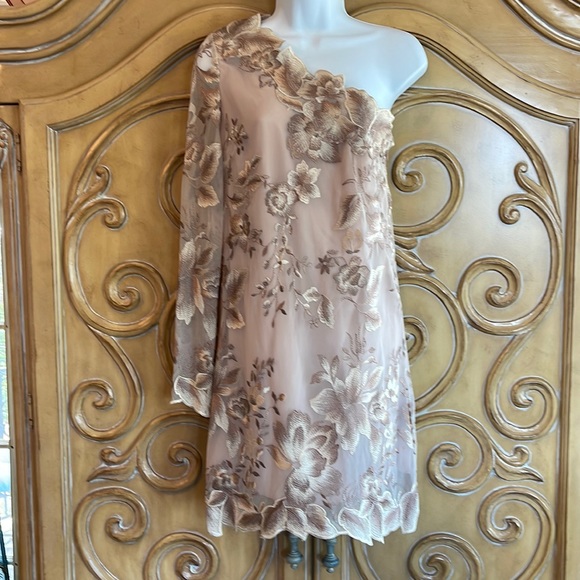Gorgeous Free People lace shoulder dress - Picture 1 of 13